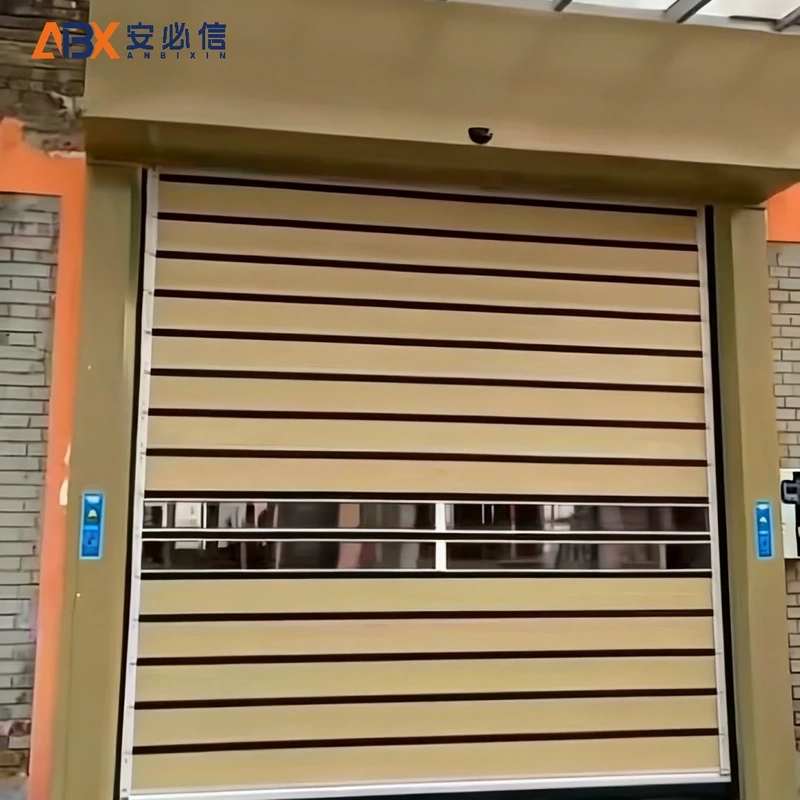 阿里地区金属高速门